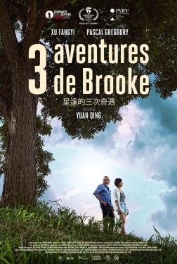 3 Aventures de Brooke 2020 streaming film