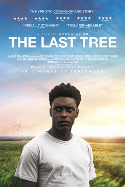 The Last Tree 2020 streaming film