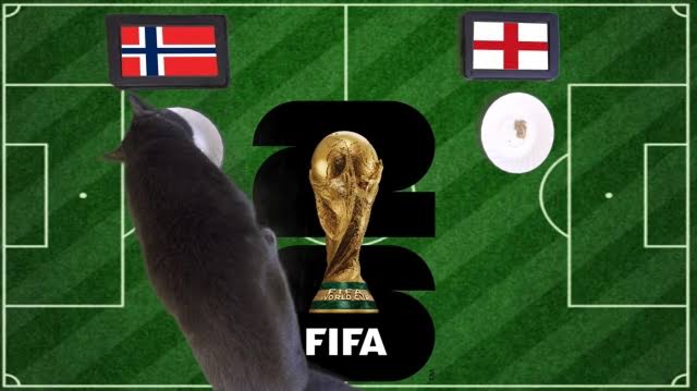 OK9 - Mèo tiên tri dự đoán Na Uy vs Anh: Địa chấn World Cup 2026